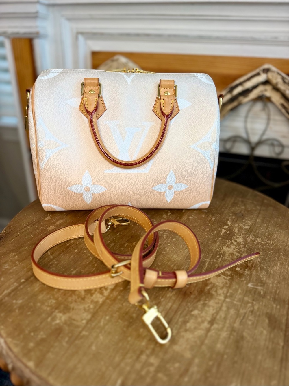 Louis Vuitton Speedy 25 By the Pool in Mist Speedy Bandoulière